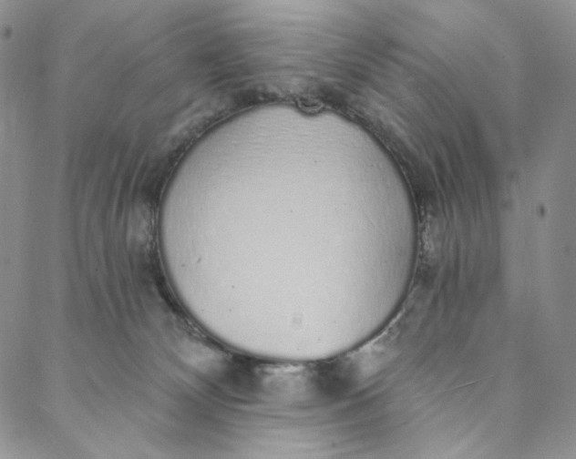 X0000088020132200705251101