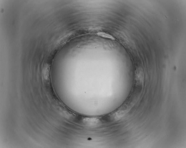 X0000088020133200705251101