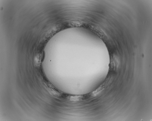 X0000088020134200705251101