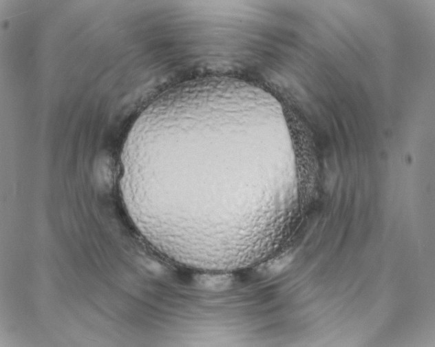 X0000088020135200705251101