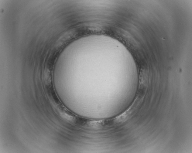 X0000088020136200705251101