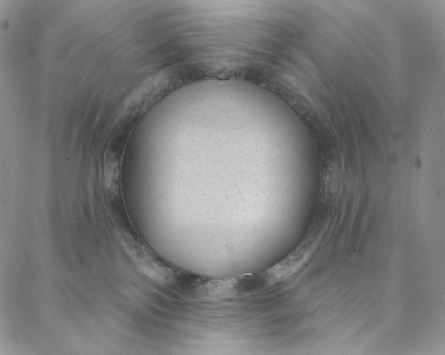 X0000088020138200705251101