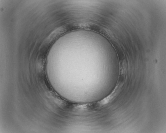 X0000088020140200705251101