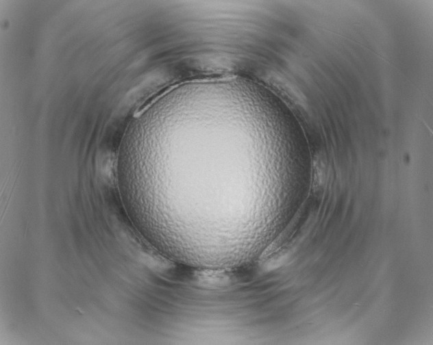 X0000088020141200705251101