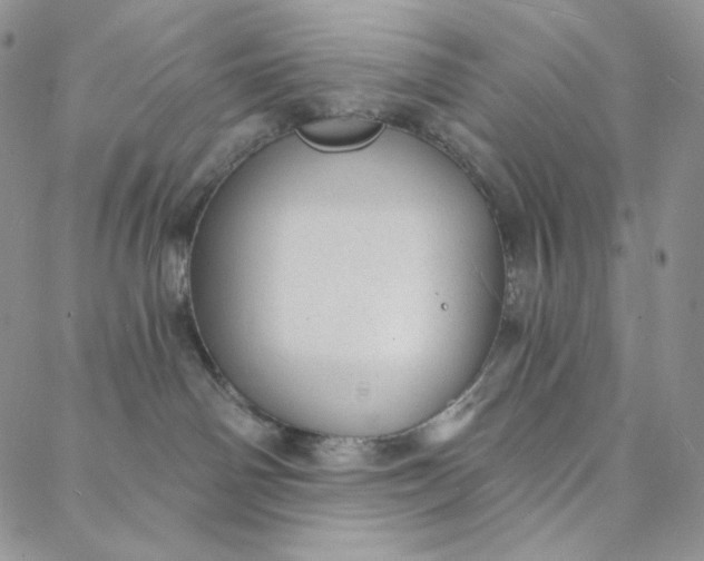 X0000088020142200705251101