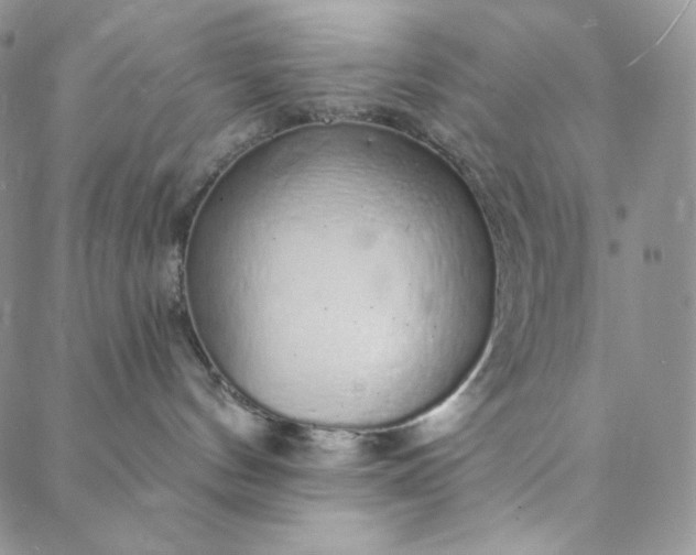 X0000088020144200705251101