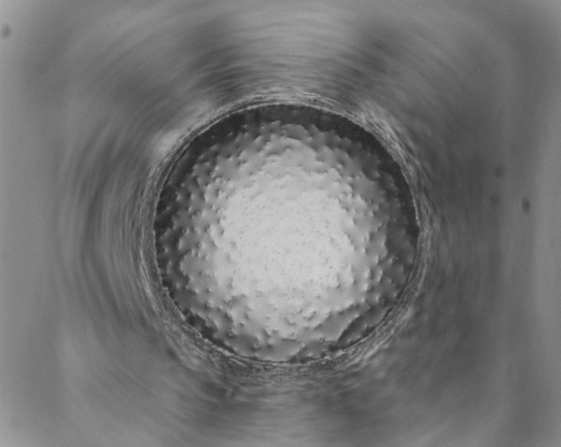 X0000088020145200705251100