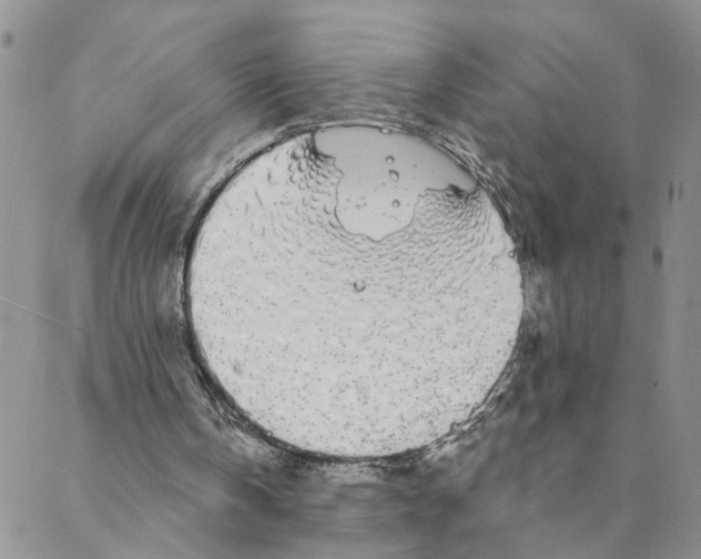 X0000088020146200705251100