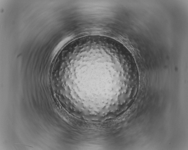 X0000088020147200705251100