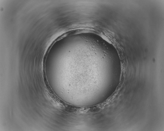 X0000088020148200705251100