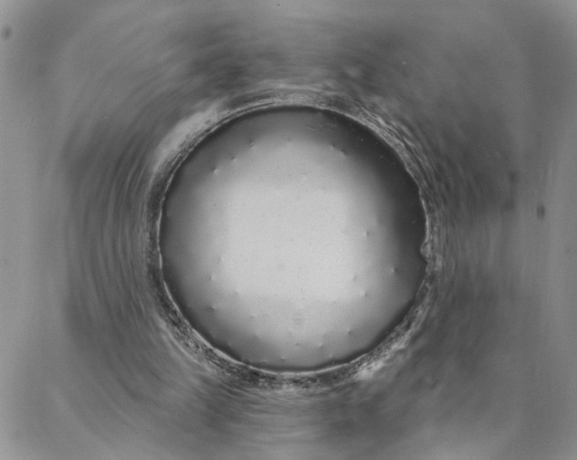 X0000088020149200705251100