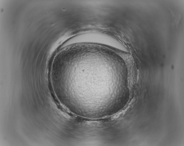 X0000088020150200705251100