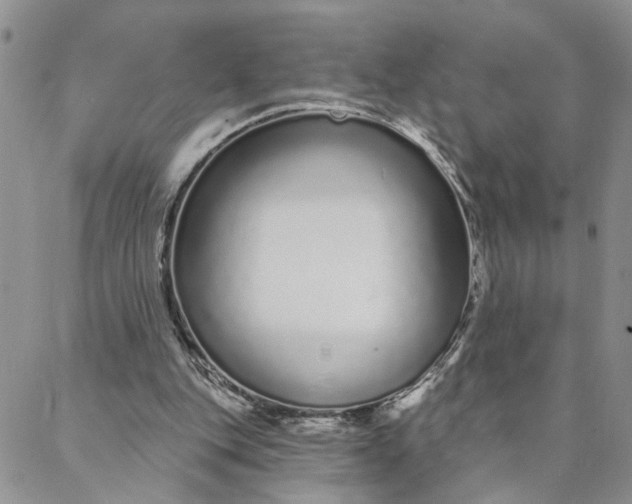 X0000088020151200705251100