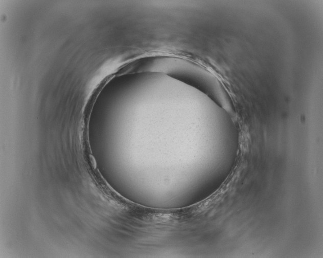 X0000088020152200705251100