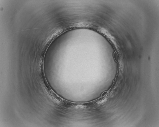 X0000088020153200705251100