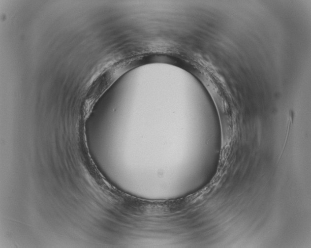 X0000088020154200705251100