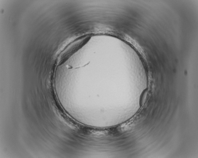 X0000088020155200705251100