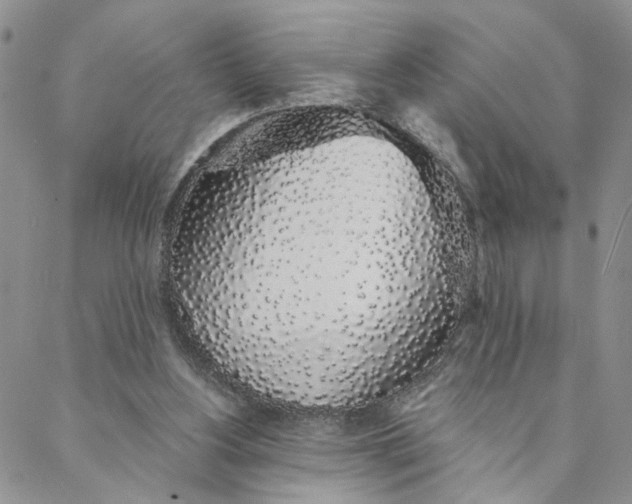 X0000088020156200705251100