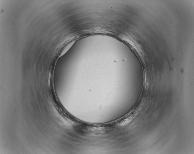 X0000088020157200705251100