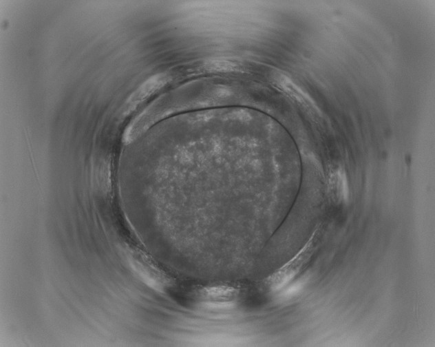 X0000088020158200705251100