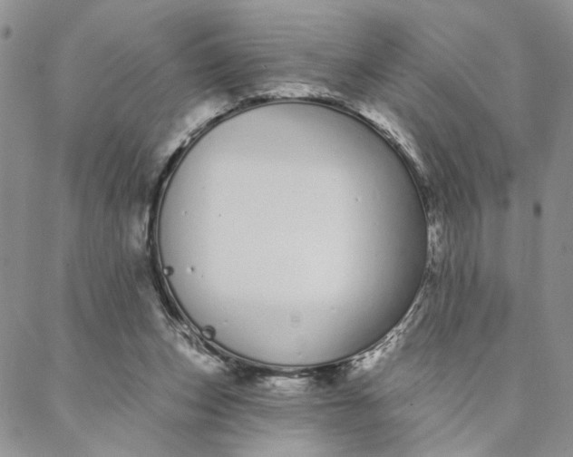 X0000088020159200705251100