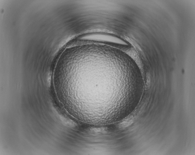 X0000088020160200705251100