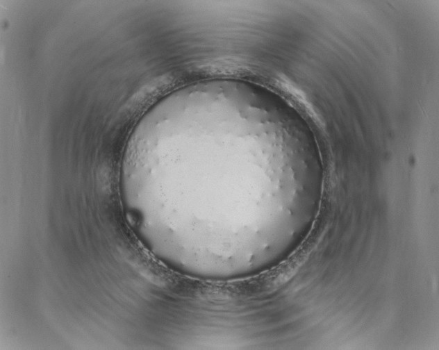 X0000088020161200705251100