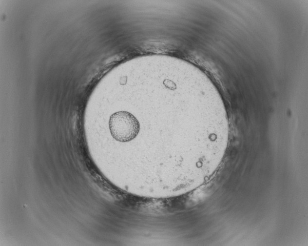 X0000088020162200705251100