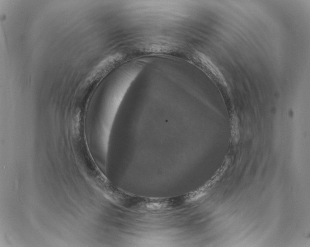 X0000088020163200705251100