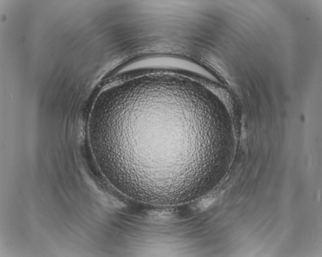 X0000088020164200705251100