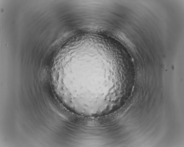 X0000088020165200705251100