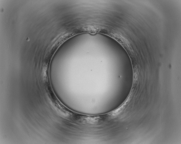 X0000088020166200705251100