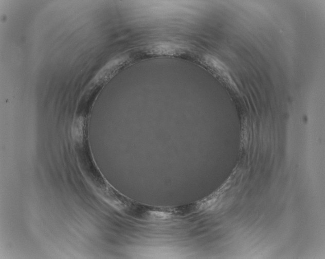 X0000088020167200705251100