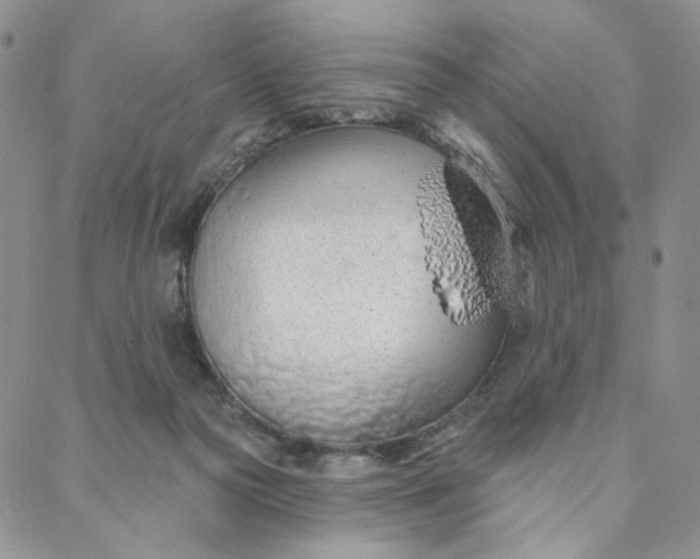 X0000088020169200705251100