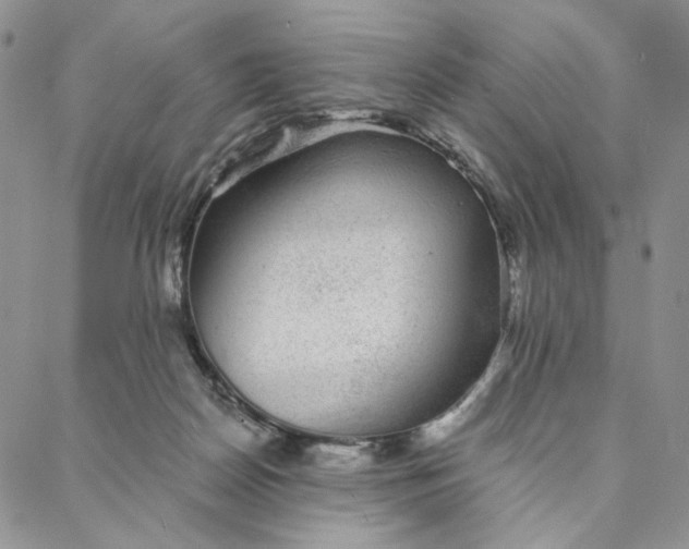 X0000088020170200705251100