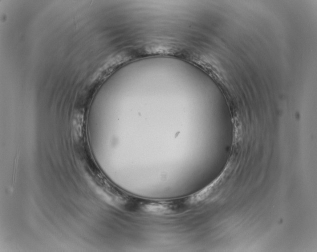 X0000088020171200705251100