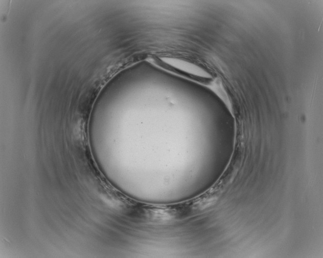 X0000088020173200705251100