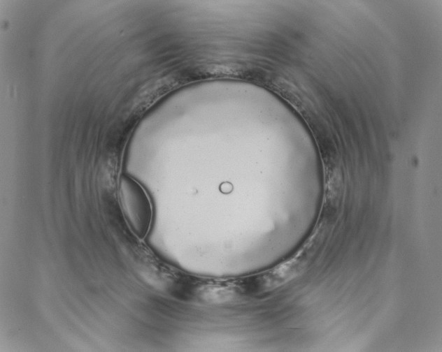 X0000088020175200705251100