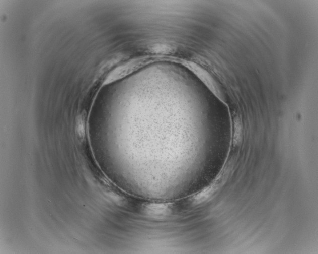 X0000088020176200705251100