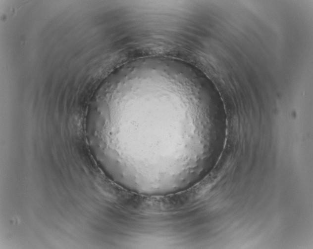 X0000088020177200705251100