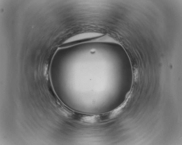 X0000088020178200705251101