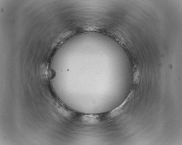 X0000088020179200705251101