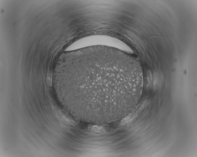 X0000088020180200705251101