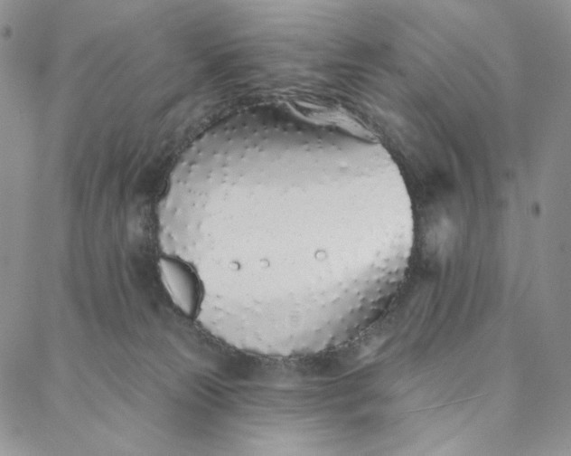 X0000088020181200705251101