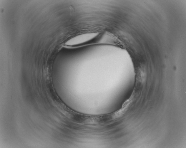 X0000088020182200705251101