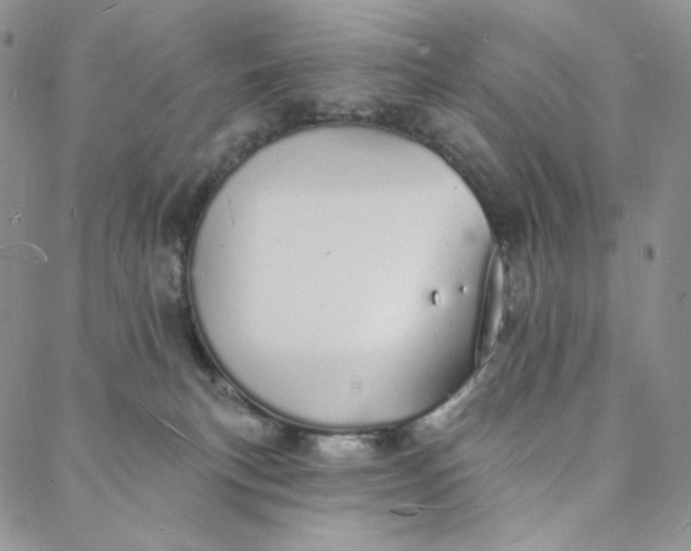 X0000088020183200705251101