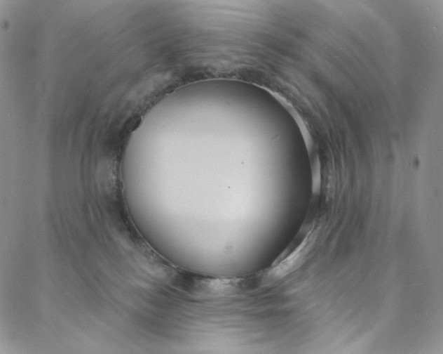 X0000088020184200705251101