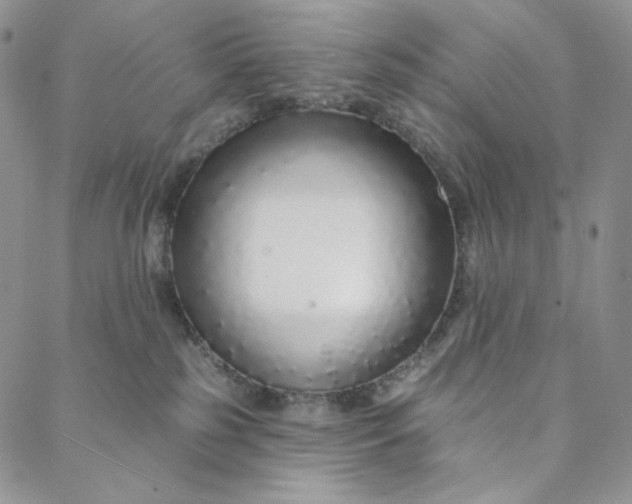 X0000088020185200705251101