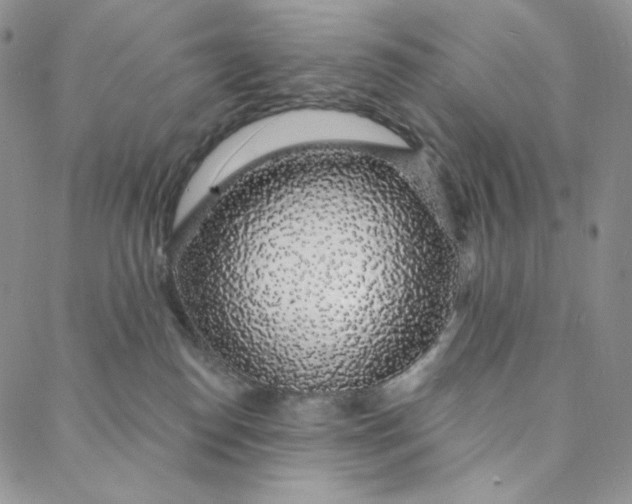 X0000088020186200705251101