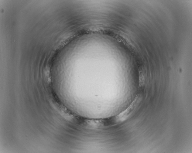 X0000088020187200705251101